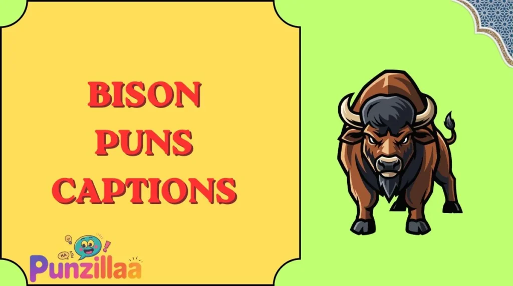 Bison Puns Captions
