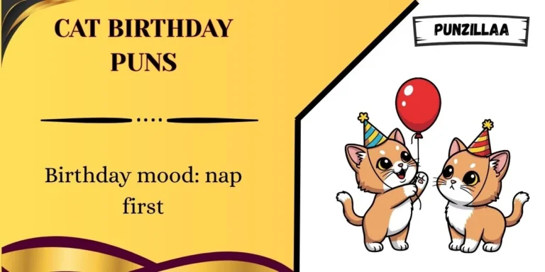 Cat Birthday Puns