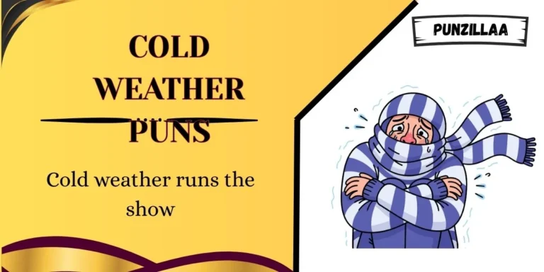Cold Weather Puns
