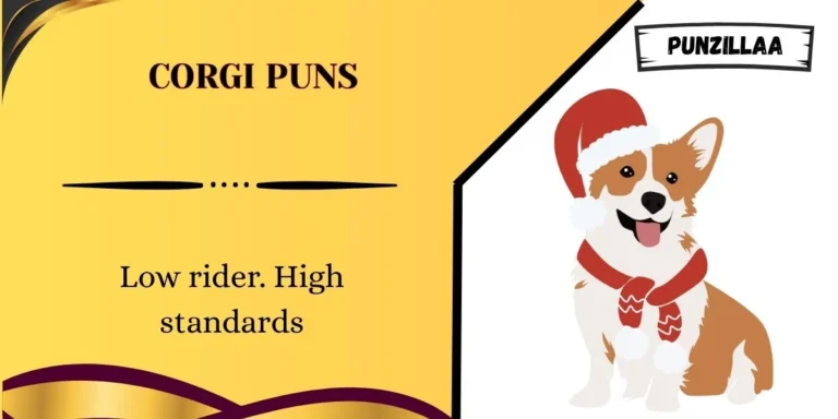 Corgi Puns