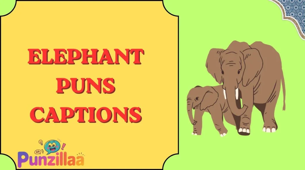 Elephant Puns Captions