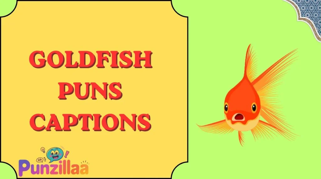 Goldfish Puns Captions
