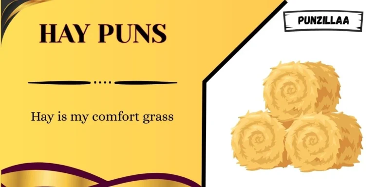 Hay Puns
