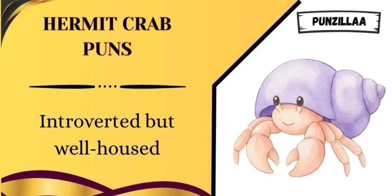 Hermit Crab Puns