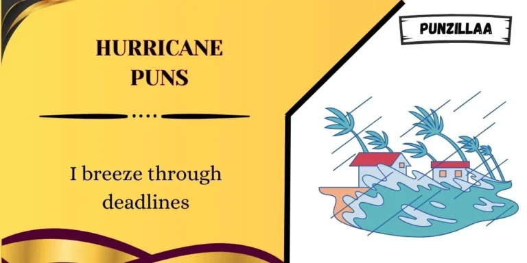Hurricane Puns