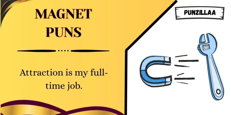Magnet Puns