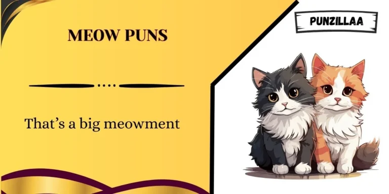 Meow Puns