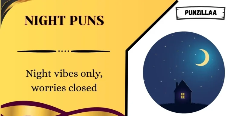 Night Puns