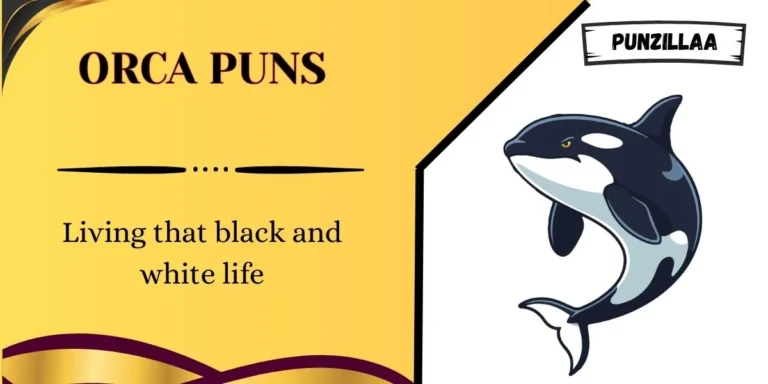 Orca Puns