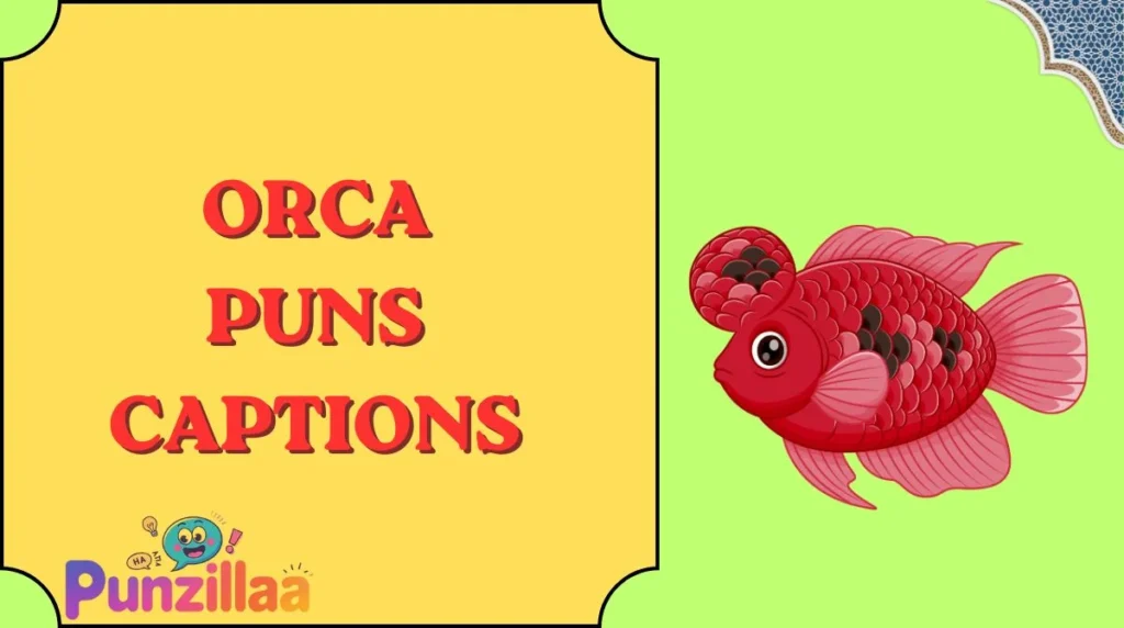 Orca Puns Captions