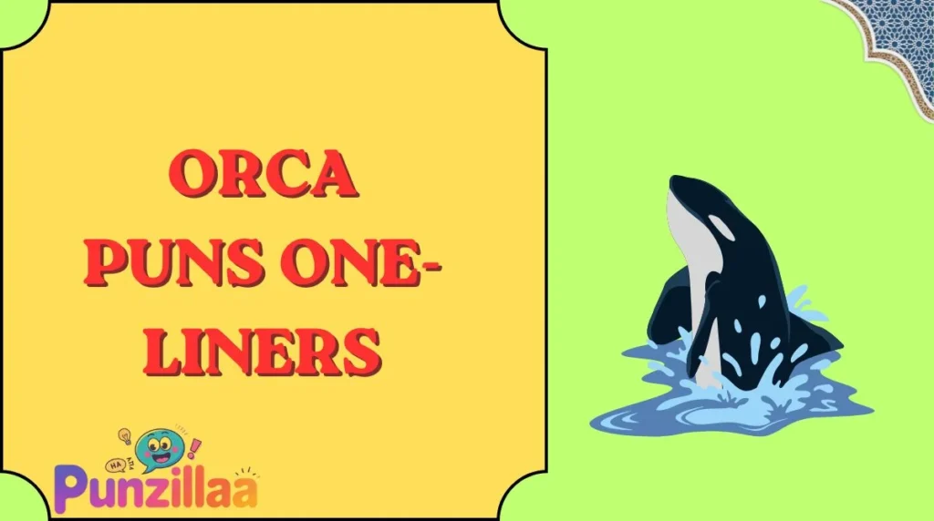 Orca Puns One-Liners