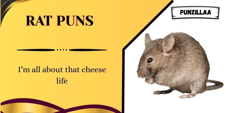 Rat Puns