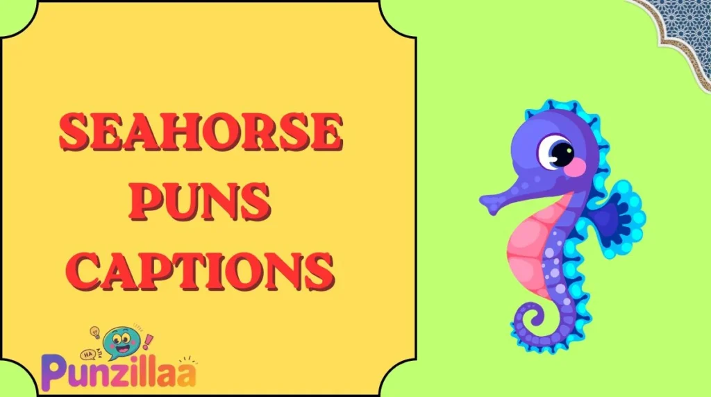 Seahorse Puns Captions
