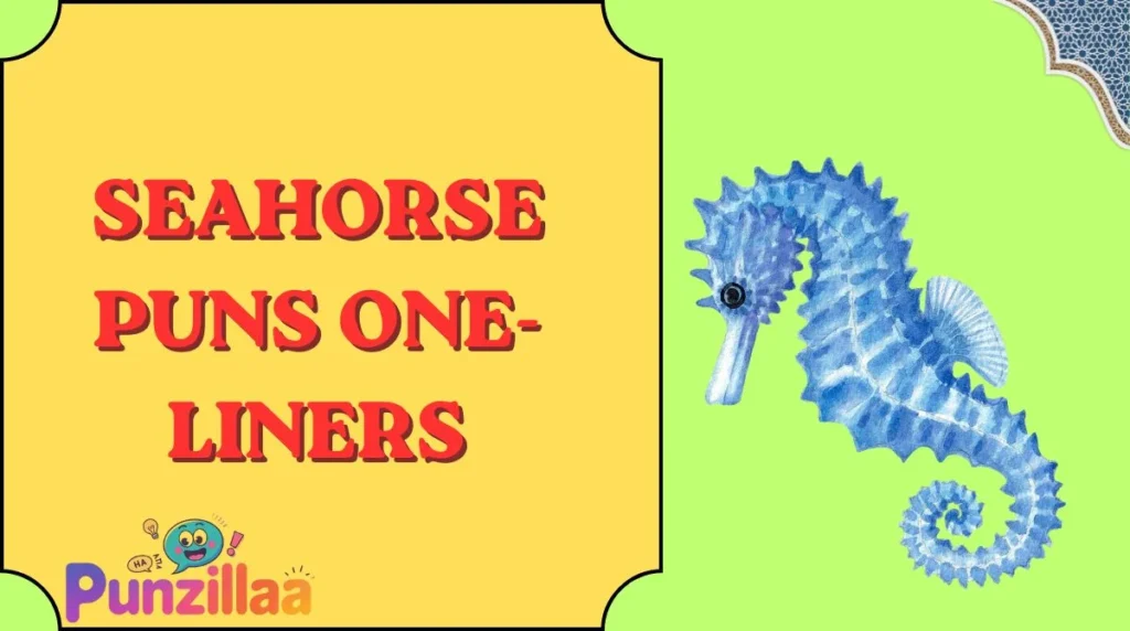 Seahorse Puns One-Liners