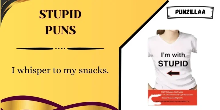 Stupid Puns