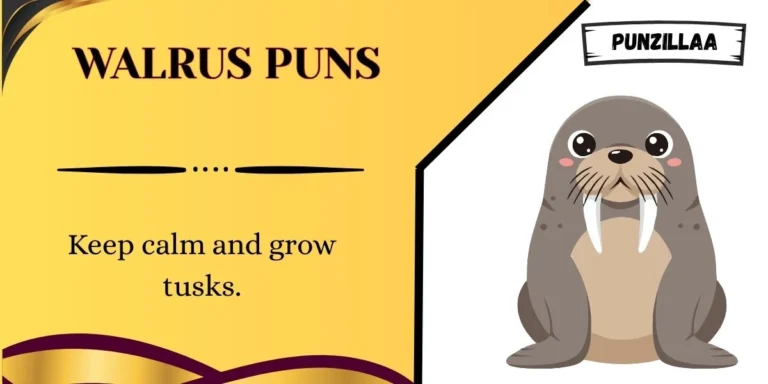Walrus Puns
