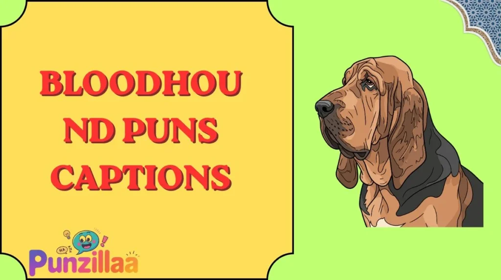Bloodhound Puns Captions