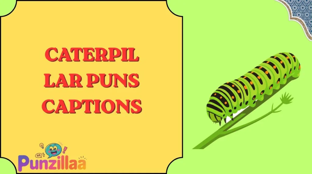 Caterpillar Puns Captions