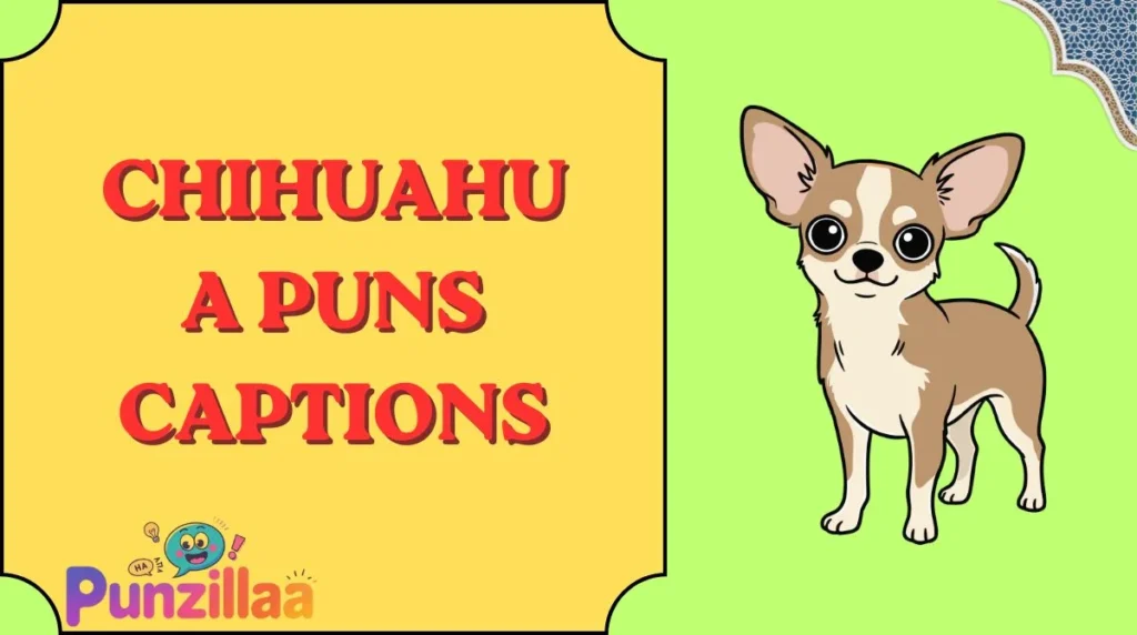 Chihuahua Puns Captions