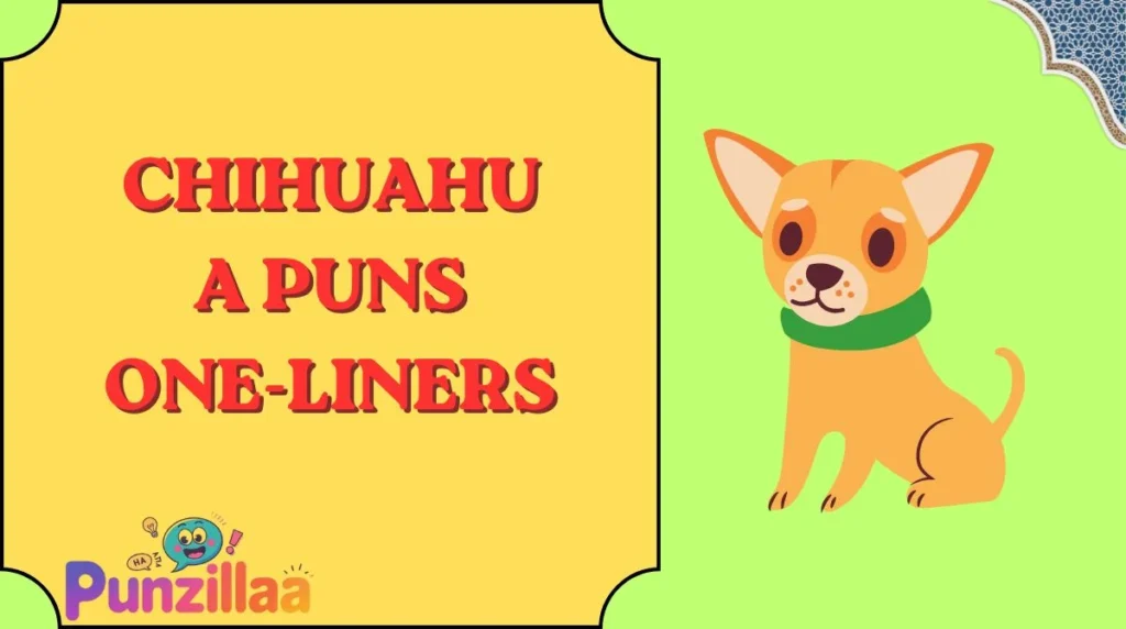 Chihuahua Puns One-Liners