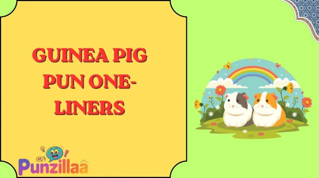 Guinea Pig Pun One-Liners