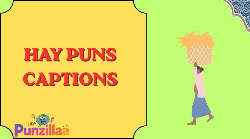 Hay Puns Captions