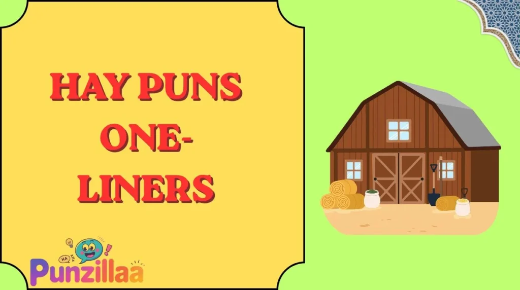Hay Puns One-Liners