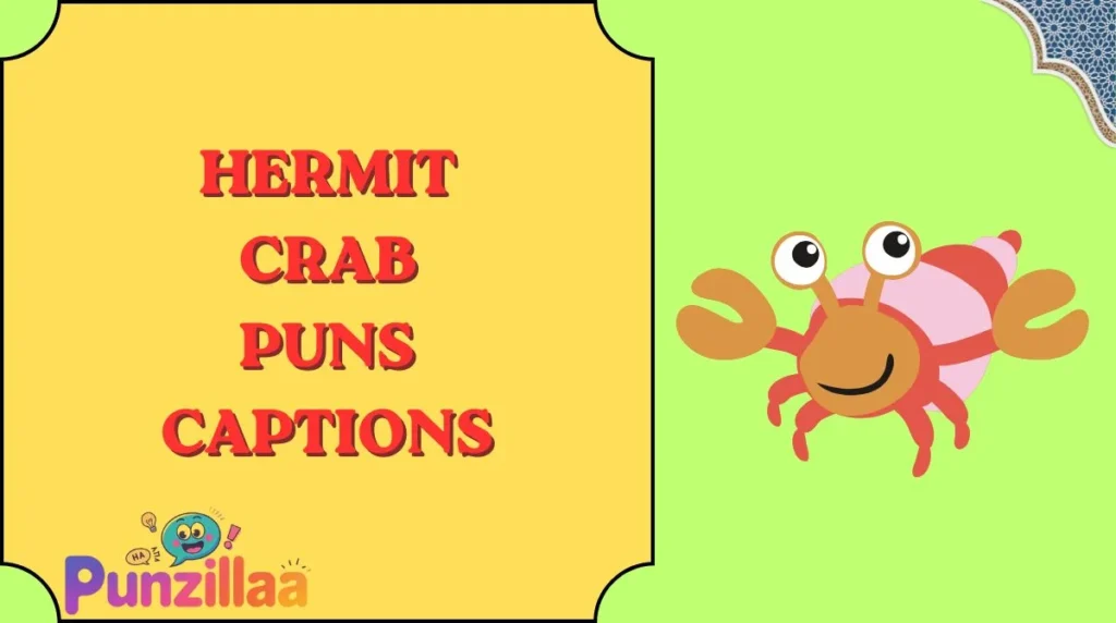 Hermit Crab Puns Captions
