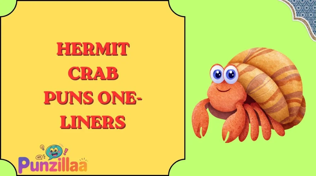 Hermit Crab Puns One-Liners