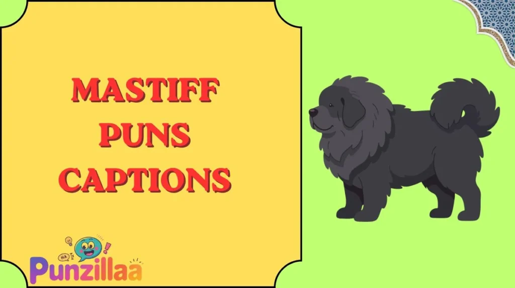 Mastiff Puns Captions