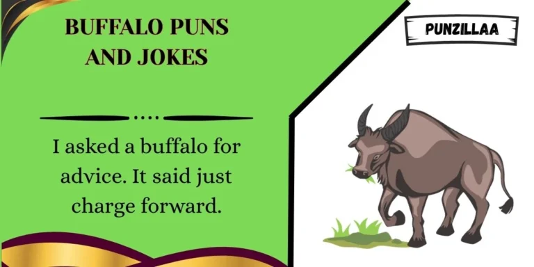 Buffalo Puns and Jokes