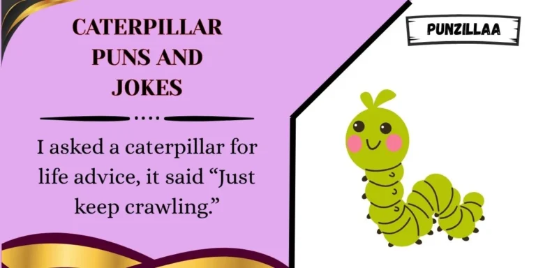 Caterpillar Puns and Jokes
