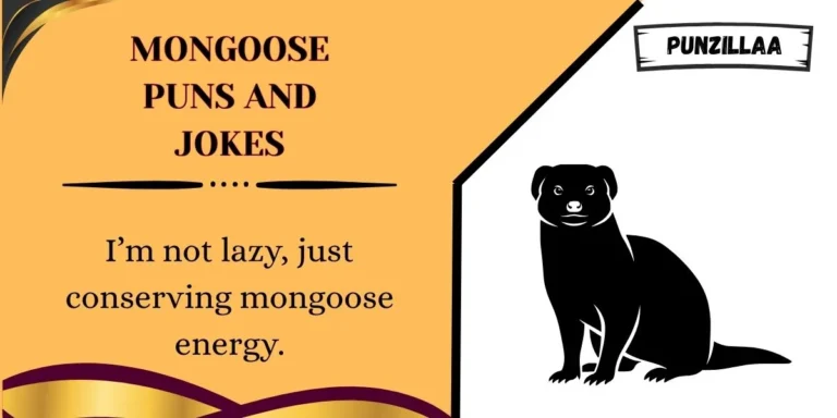 Mongoose Puns and Jokes