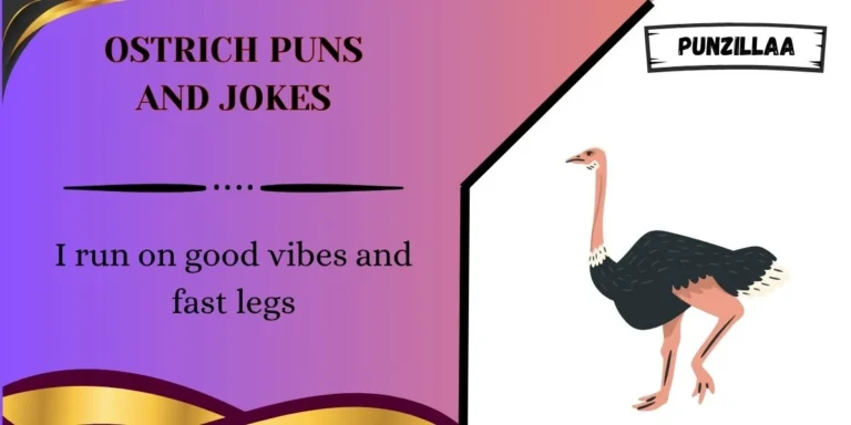 Ostrich Puns and Jokes
