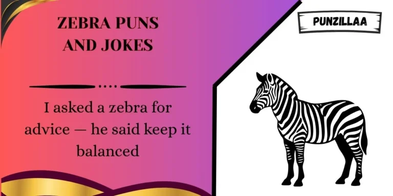 Zebra Puns and Jokes