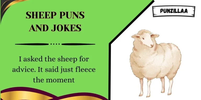 Sheep Puns and Jokes