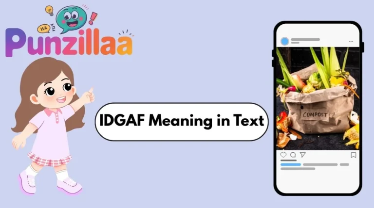 IDGAF Meaning in Text