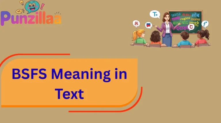 BSFS Meaning in Text