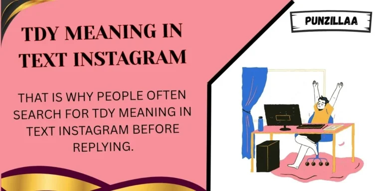 TDY Meaning in Text Instagram