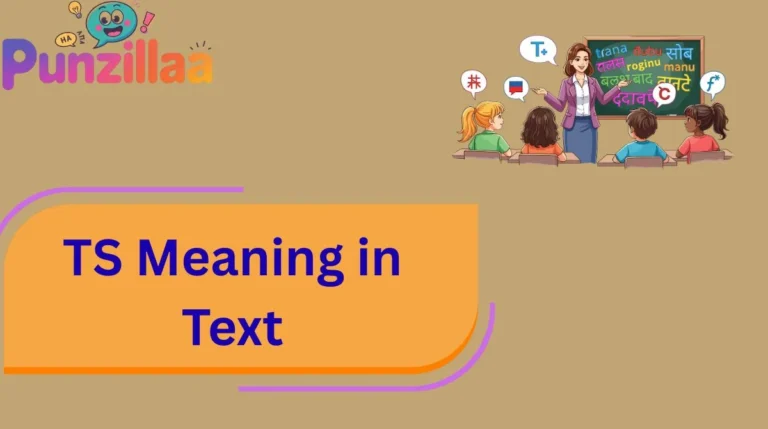 TS Meaning in Text