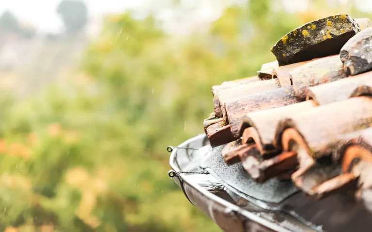Roof Care Practices That Help Preserve Shingles, Flashing and Drainage